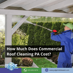 algae growth and dirty roofs in vinyl siding black streaks