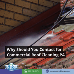 roof algae and roof infested